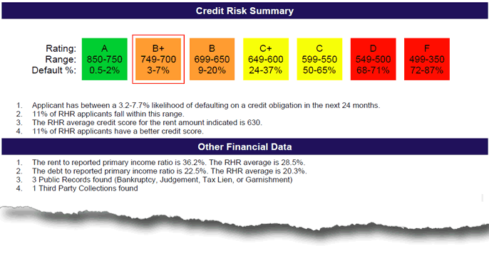 Image - Financial Risk Summary